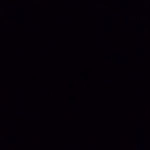 Meet your Posher, Jaylon